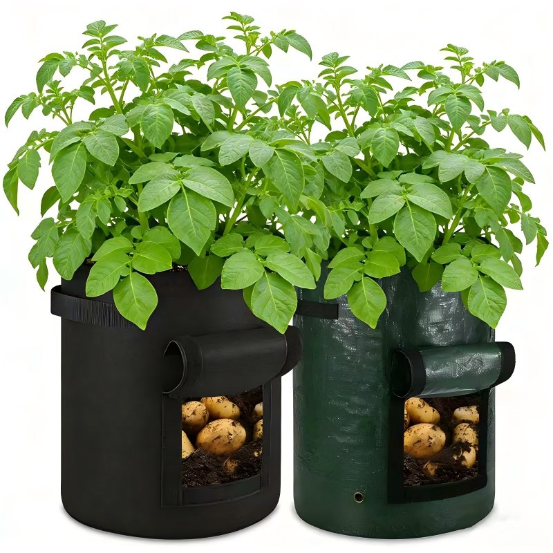 1-Grow Bag-4