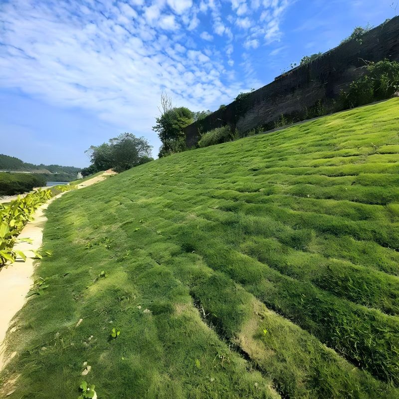 3D Erosion Control Geomat-5