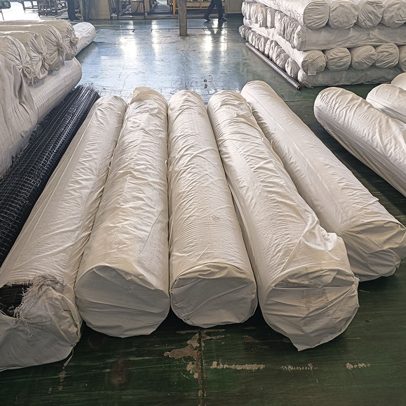 Biaxial Plastic Geogrid-3