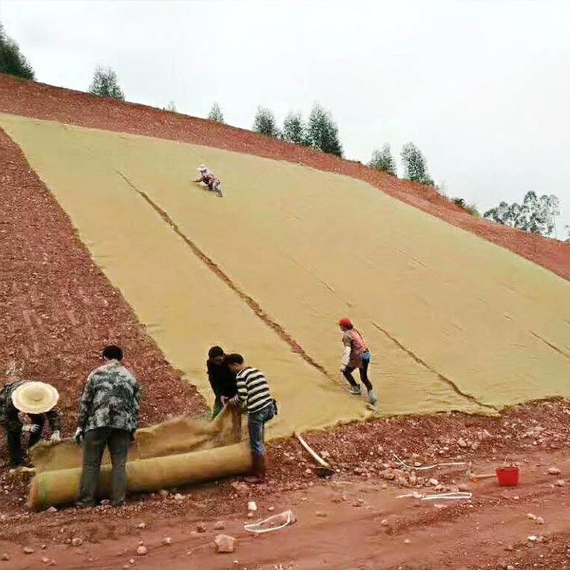 Coconut Fiber Mat-6