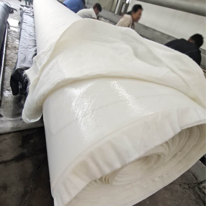 Composite Geomembrane Liner-6