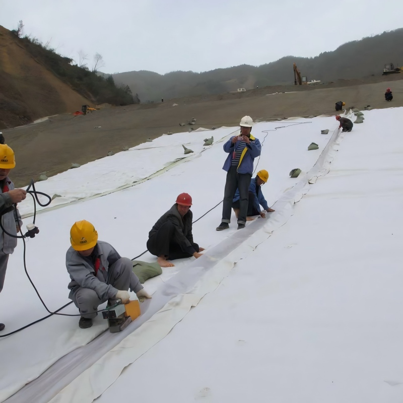 Composite Geomembrane Liner-7