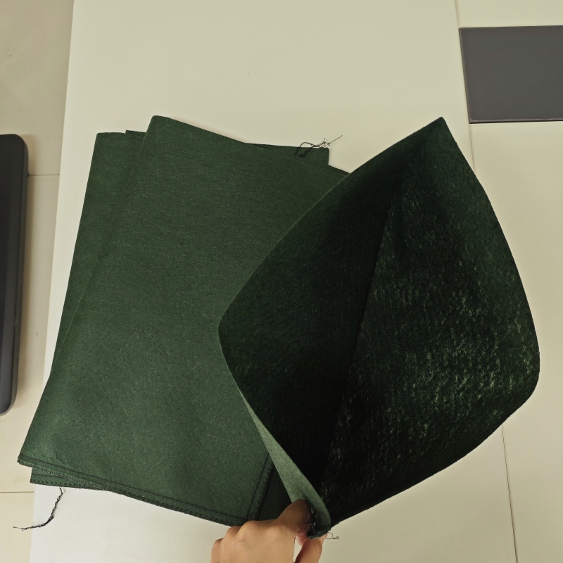 Geobag-4