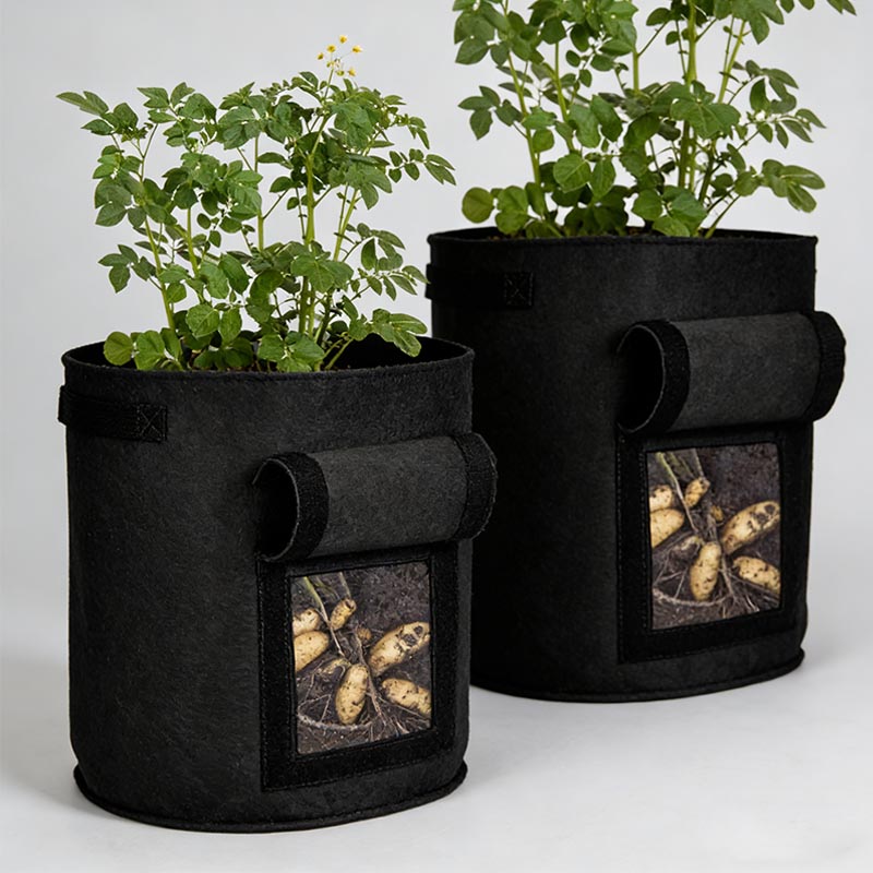 Grow Bags-3