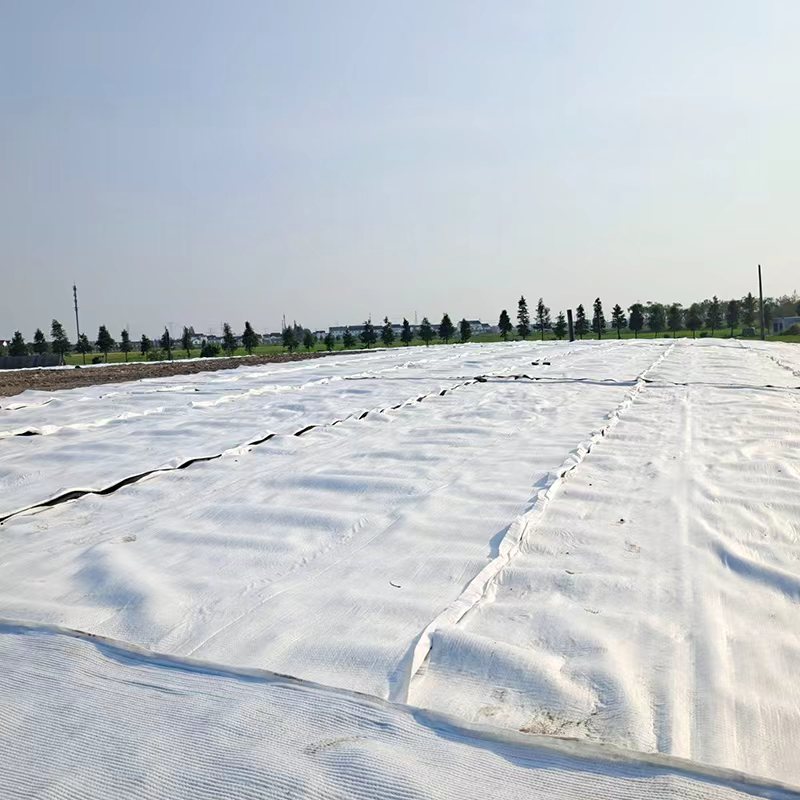 Long Fiber Nonwoven Geotextile-3