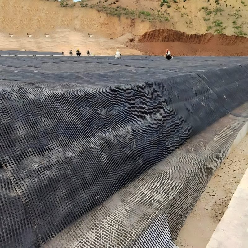 Polyester (Pet) Geogrid-4