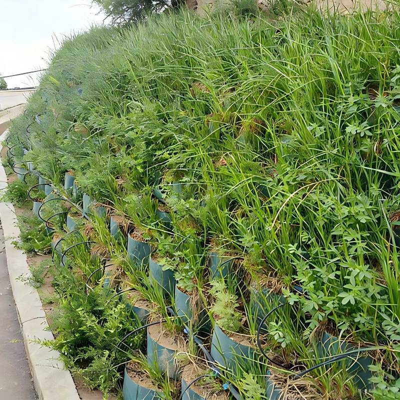 Retaining Walls-3