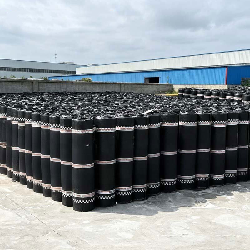 SBS waterproof membrane-4