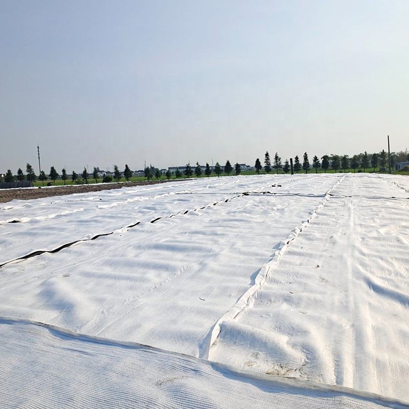 Short Fiber Nonwoven Geotextile-1