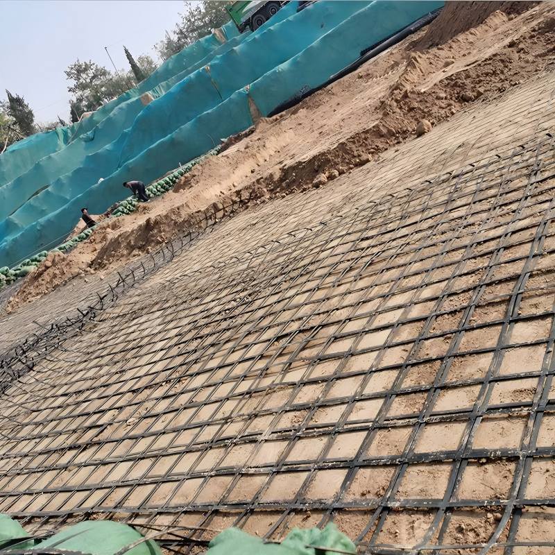 Steel Plastic Geogrid-5
