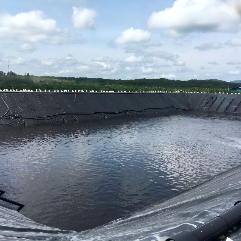 Textured HDPE Geomembrane