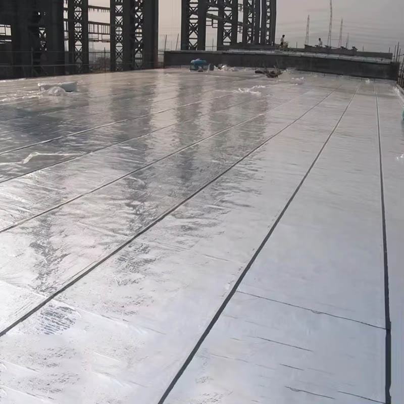 Waterproof Geomembrane-2