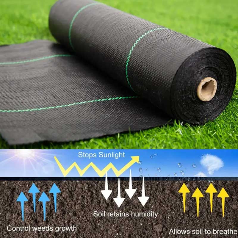 Weed Mat-3
