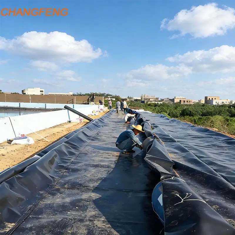 What Is a Geomembrane? Types, Materials, Uses and How It Works
